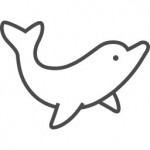 イルカ